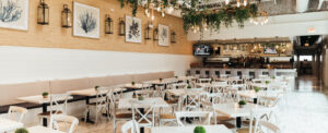 Read more about the article Live Music Concerts at Our Hotel