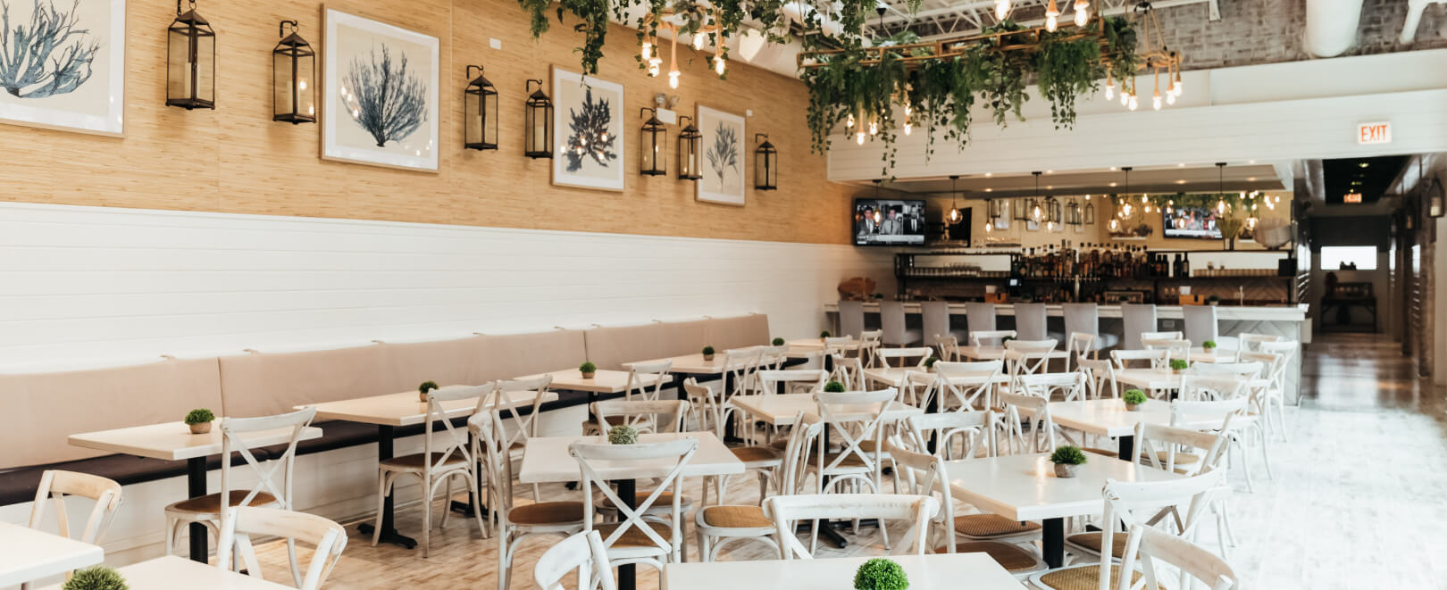 You are currently viewing Live Music Concerts at Our Hotel